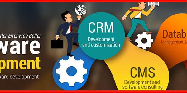 Software Development in Pakistan